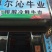 牛肉干黄牛肉鲜肉