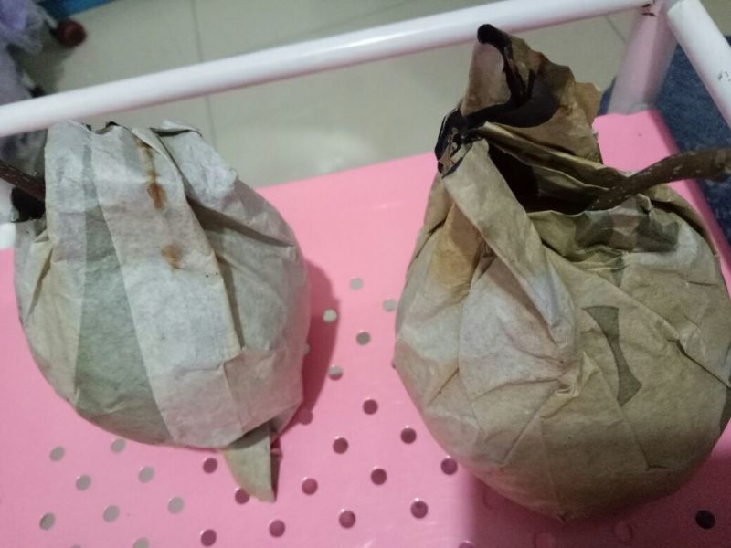 金梨150~200g纸袋