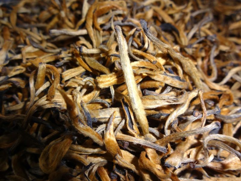 百年大树茶特级
