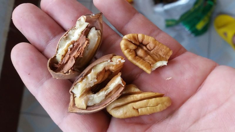 薄皮核桃30mm以上去皮