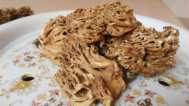 珊瑚菌鹿茸菇野生菌干货