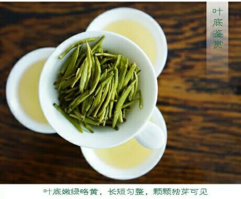 湄潭翠芽