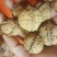 铁核桃去皮干