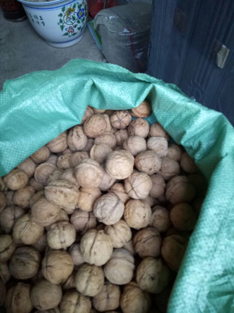 薄皮核桃30mm以上去皮干