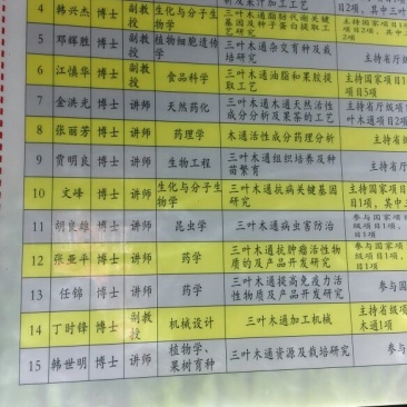 八月瓜苗