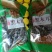 干木耳一级