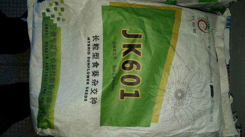 葵花种子