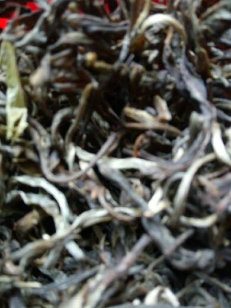 本山茶一级
