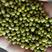 明绿豆赤峰绿豆芽豆，一等芽豆，发芽率97以上，质量保证