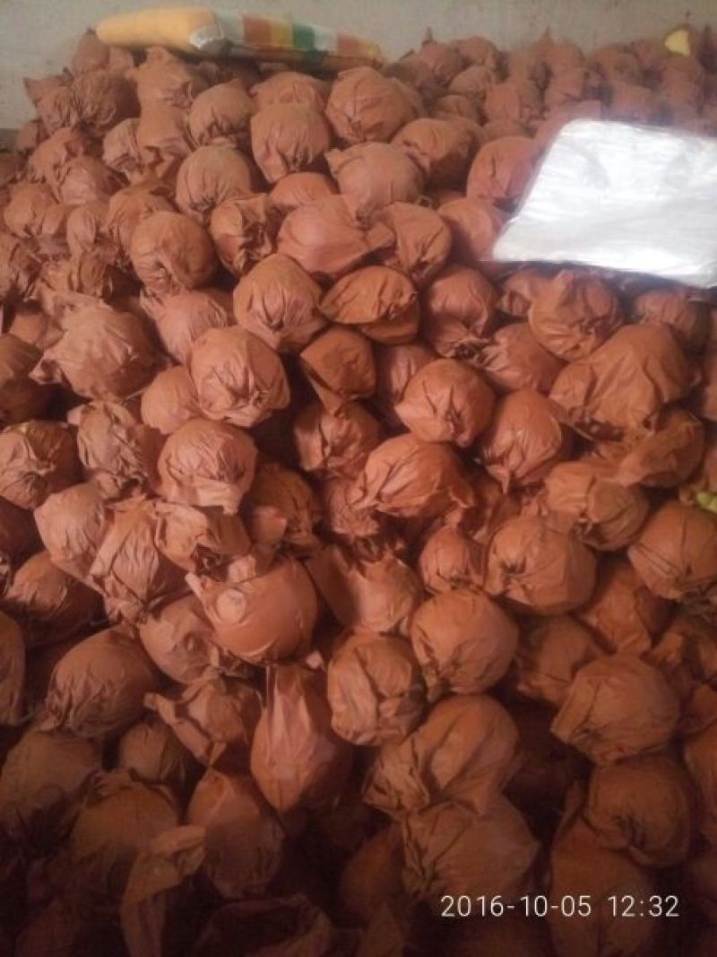 梨100~150g纸袋