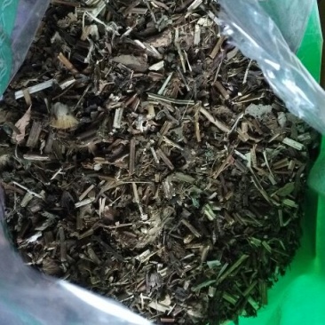 香茶菜