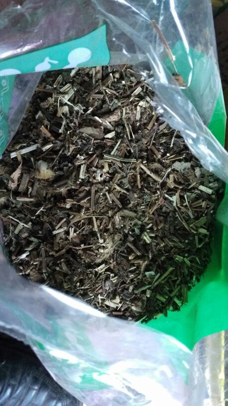 香茶菜