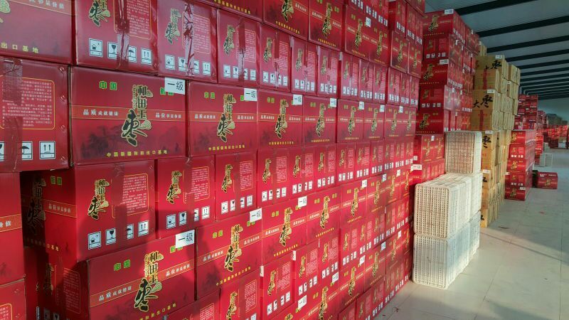 肉皮和田大枣皮薄肉厚核小山东德州乐陵市正宗产地直发