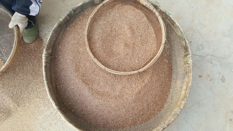 山西纯胡麻籽榨油胡麻种子胡麻