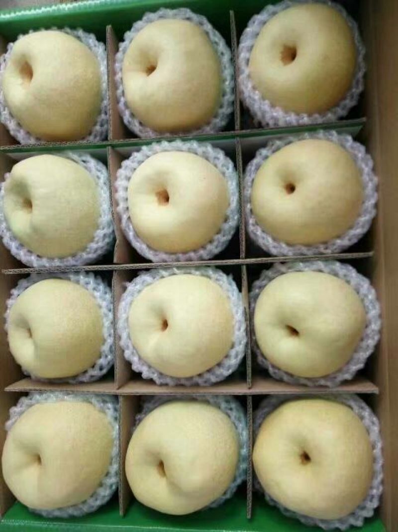 酥梨200~250g纸袋