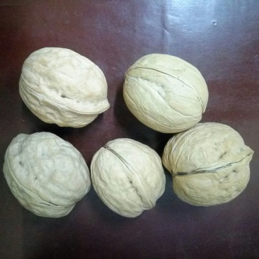 新疆核桃去皮干