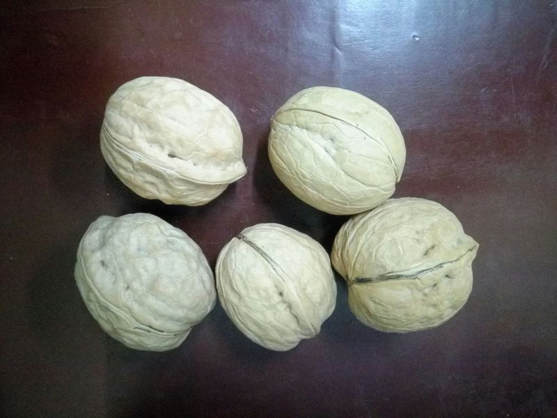 新疆核桃去皮干