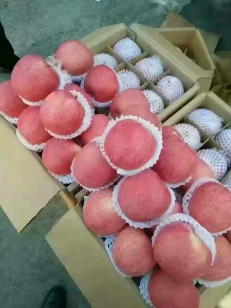 红富士苹果纸夹膜红富士