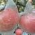 红富士苹果大量现货，果面光滑，颜色鲜艳。