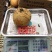 晚秋黄梨