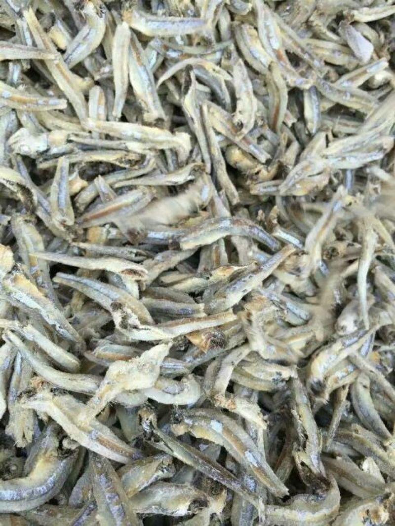 银鱼干