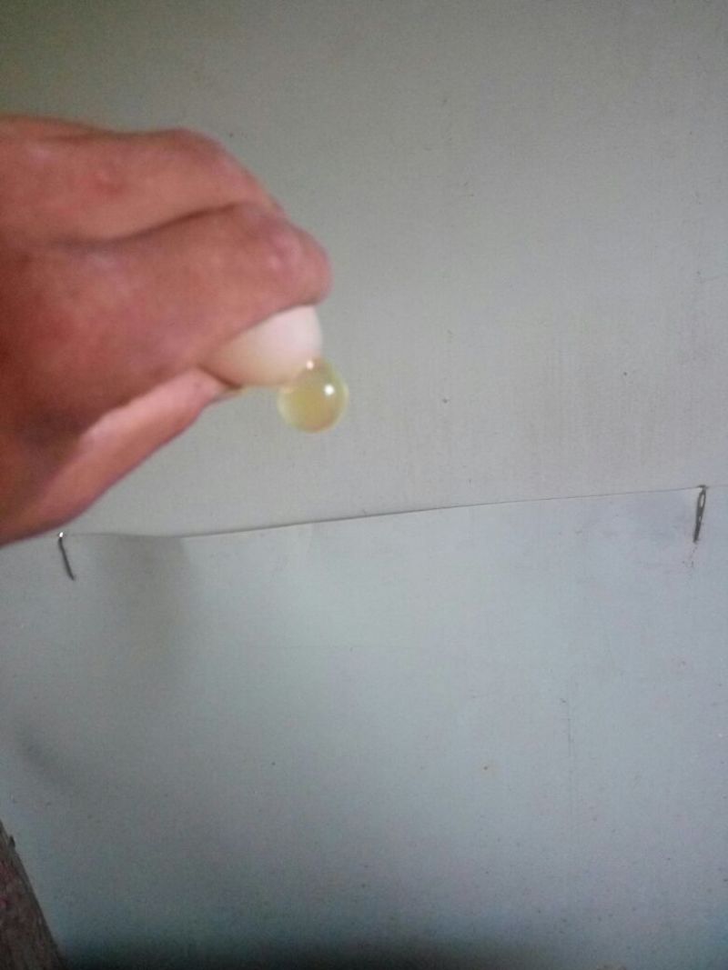 土鸡蛋食用50g以下