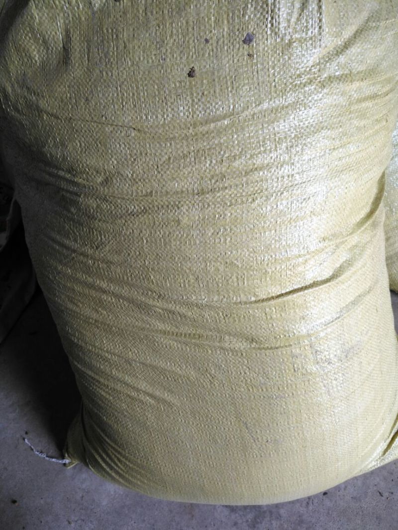 野菊花颗粒