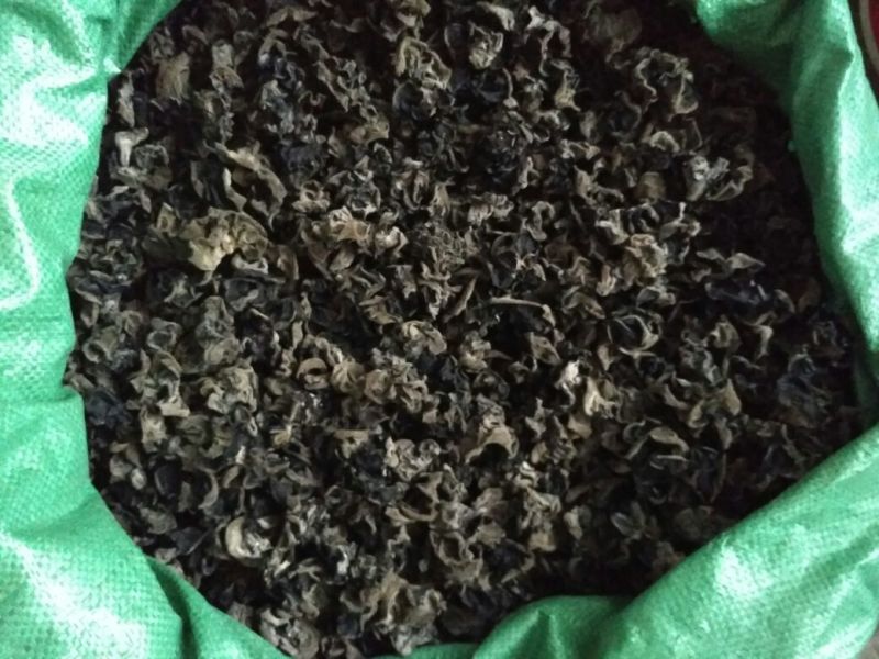 黑木耳一级
