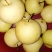 黄金梨300~350g膜袋