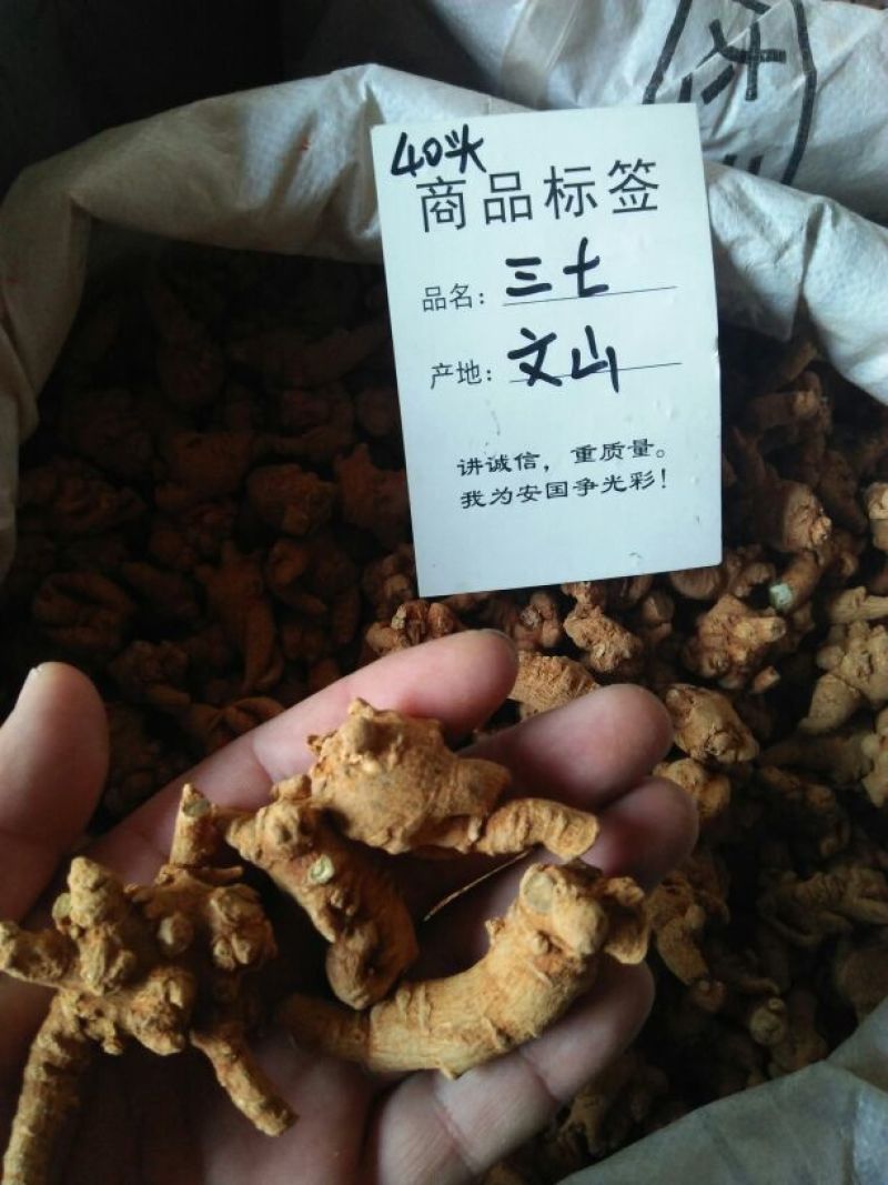 三七40头统货