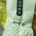 荷叶茶特级