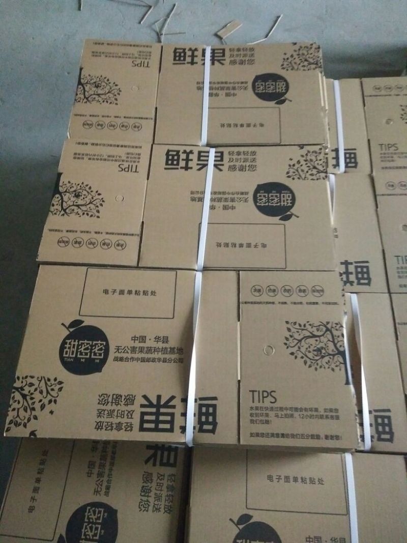 红香酥梨150~200g纸箱