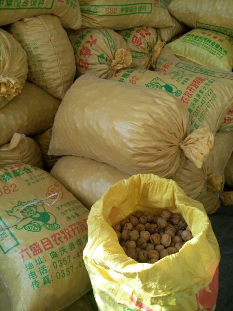 绵核桃25mm以下去皮干