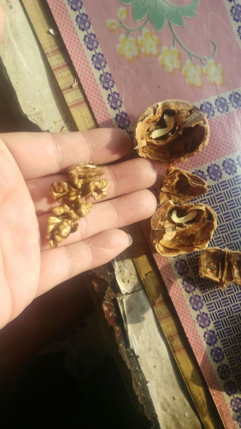 薄皮核桃40mm以上去皮干
