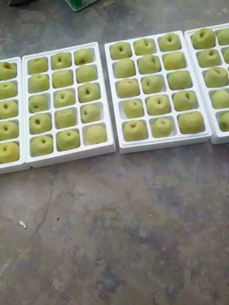 砀山梨600g以上纸箱