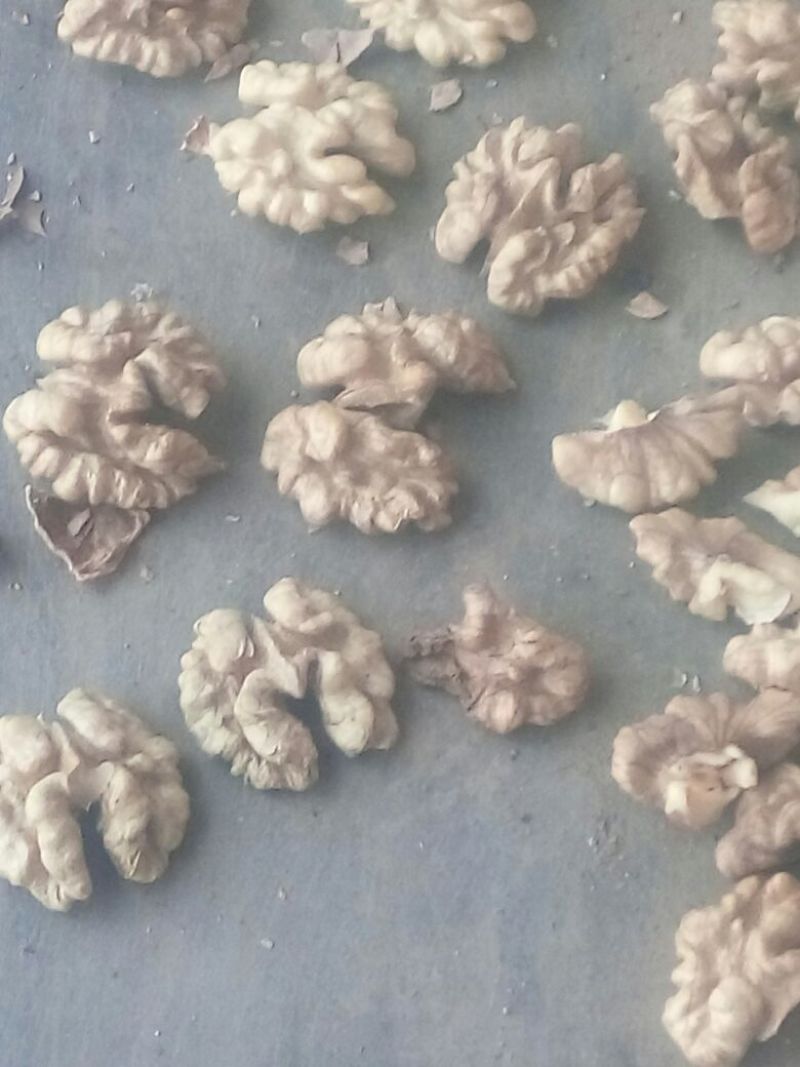 薄皮核桃30mm以上去皮