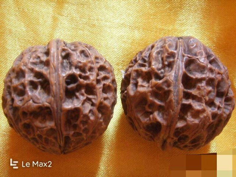 铁核桃去皮
