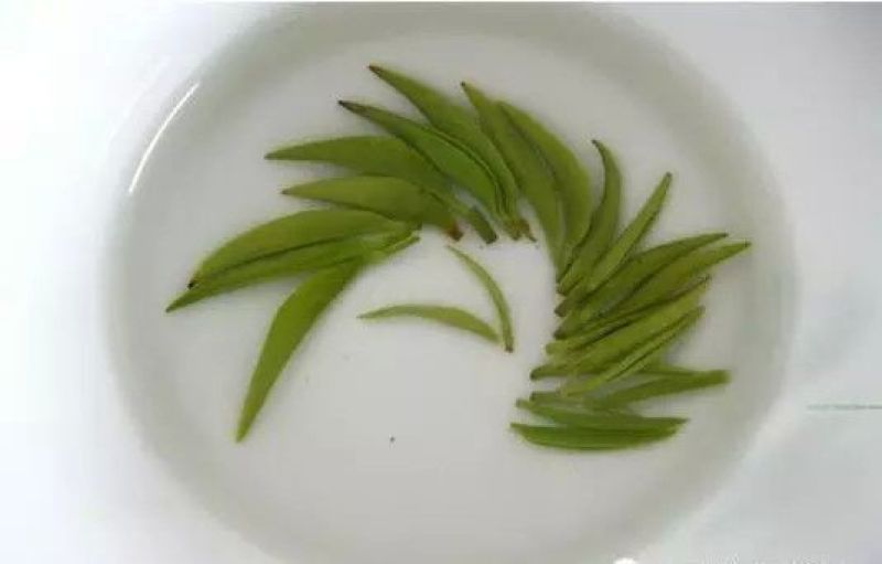 茶叶特级