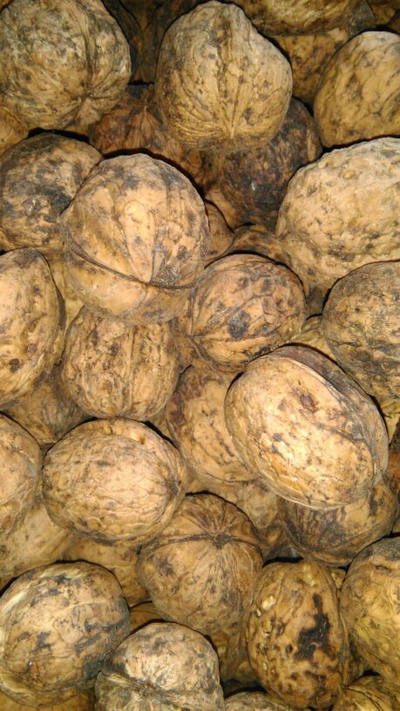 薄皮核桃40mm以上去皮干