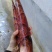 春笋10~15cm15~20cm20~25cm25~