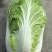 四川成都大白菜4~6斤净菜矮科黄心韩美黄