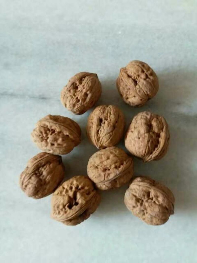 山核桃去皮干
