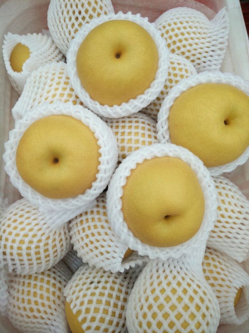 丰水梨350~400g纸袋