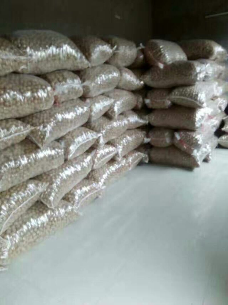 香玲核桃30mm以上去皮干