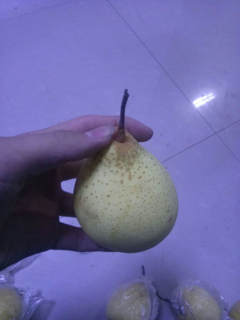 梨200~250g纸箱
