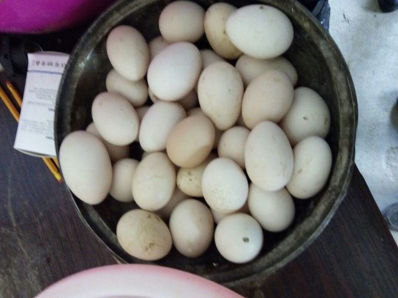 土鸡蛋食用60~75g