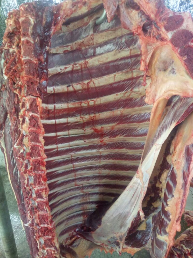 驴肉鲜货