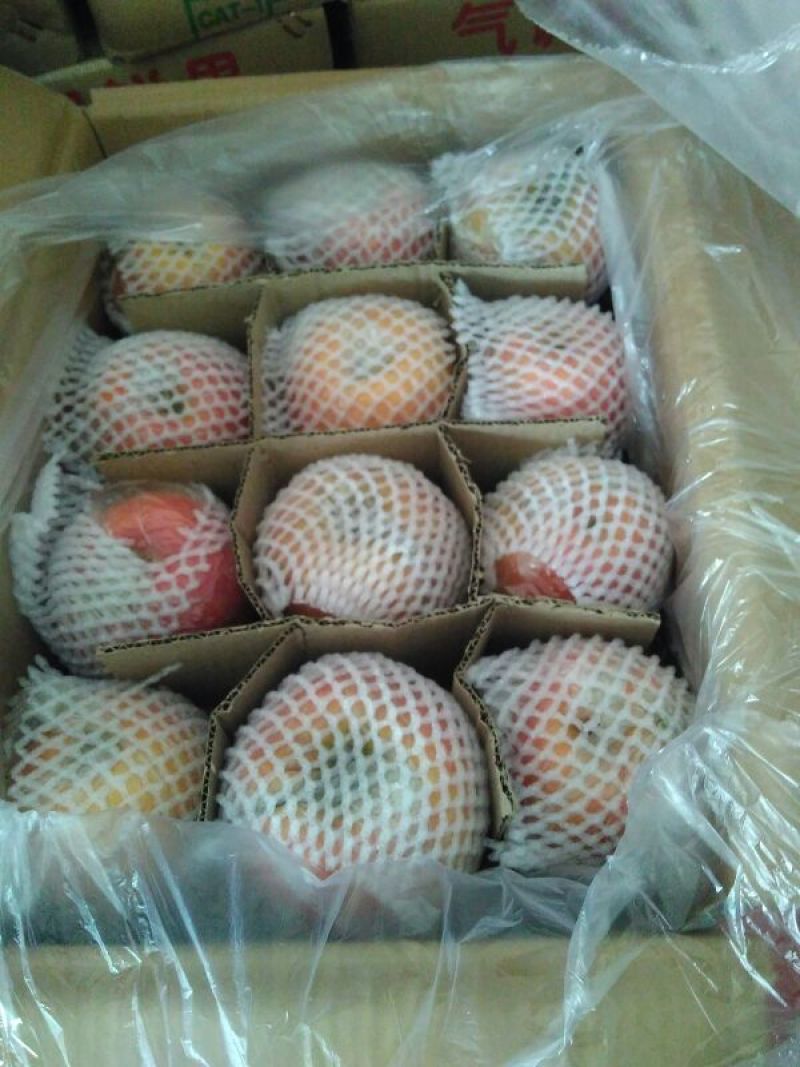 红富士苹果80mm以上纸+膜袋