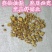黄芩家种统片