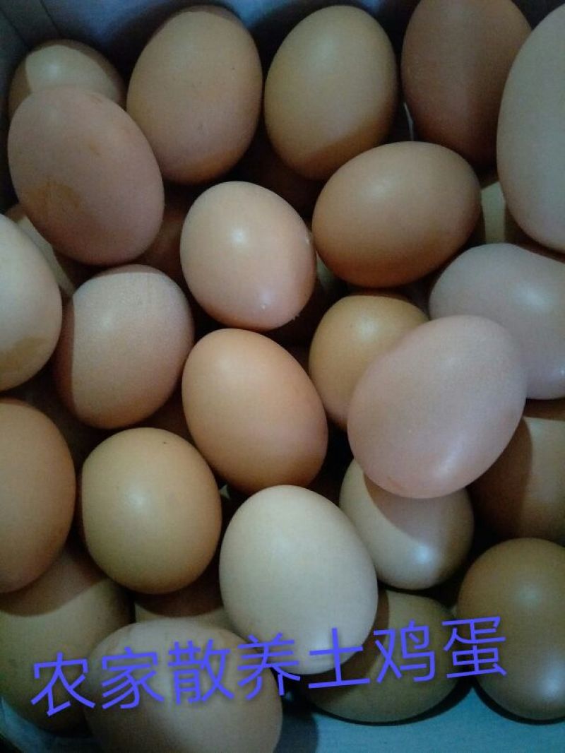 土鸡蛋食用40~50g